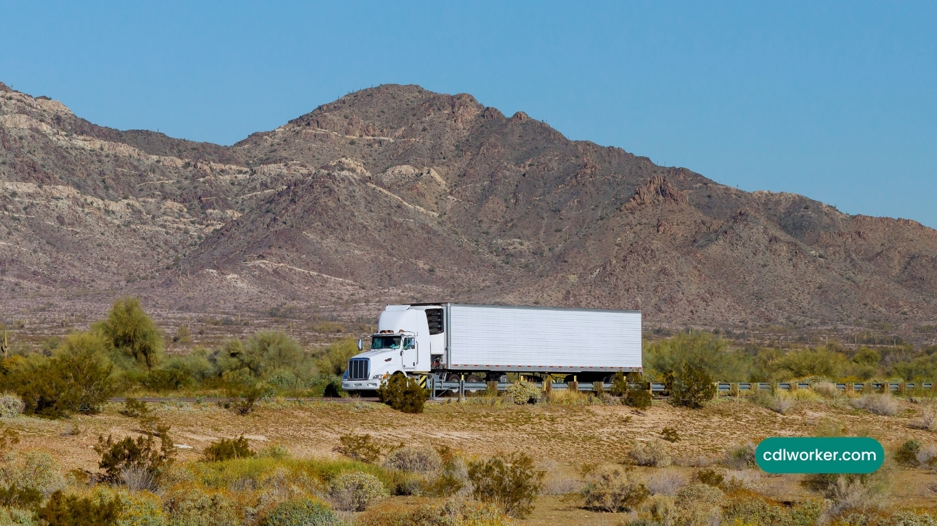 The Chilling Truth About a Reefer Truck (Pros, Cons, Profitability, and More)